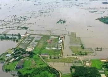 Tayland’da sel ve heyelan: 22 ölü, 19 yaralı