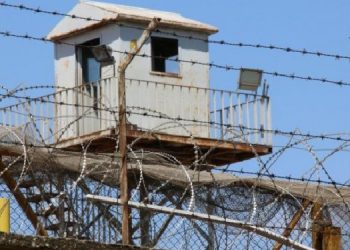 ‘8 Mart’ı cezaevlerinde direnerek karşılıyorlar’ ‘8 Mart’ı cezaevlerinde direnerek karşılıyorlar’