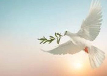 Barış bir sonuçtur mücadele ister