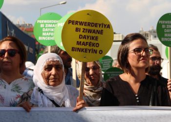 MED-DER: Kürtçe resmi dil olsun
