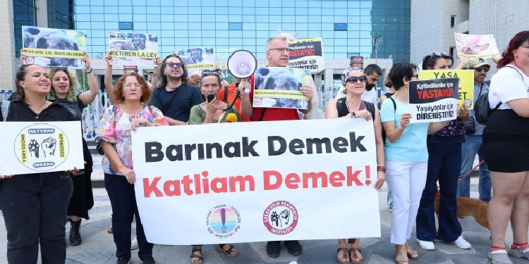Yavaş’a hayvan barınağı ihalesi üzerinden “rant sağlama” suçlaması Yavaş’a hayvan barınağı ihalesi üzerinden “rant sağlama” suçlaması