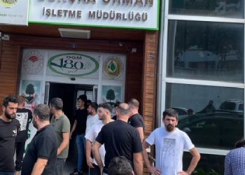 Borçkalılar, orman ihalelerinin iptali için dilekçe verdi