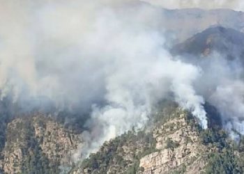 Denizli’deki yangın kontrol altına alındı