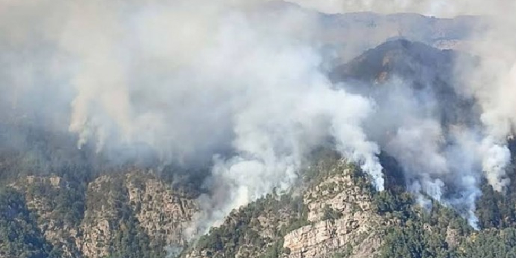 Denizli’deki yangın kontrol altına alındı Denizli’deki yangın kontrol altına alındı