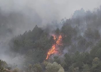 Uşak’taki yangın söndürüldü: 20 hektarlık alan yandı