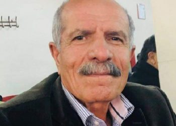 Arende ilçe eşbaşkanı serbest bırakıldı