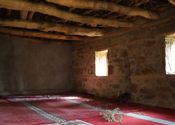 Seveni çok bakanı yok