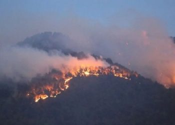 Denizli’deki orman yangını 4’üncü gününde sürüyor