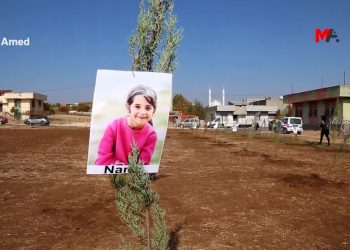 Narin, Rojin ve Şirin anısına fidan dikildi