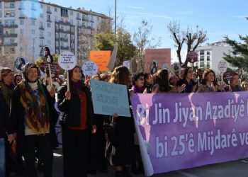 Vanlı kadınlardan yürüyüşe katılım çağrısı