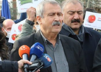 Kürtçe eğitmen Ronî’nin duruşması yarın
