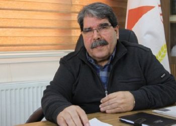 Salih Müslim: Demokrasi yoksa entegrasyon da yok Salih Müslim: Demokrasi yoksa entegrasyon da yok