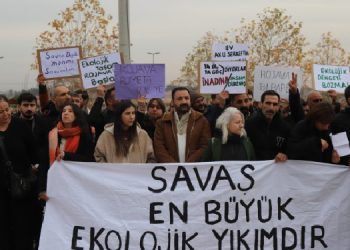 Ekolojistler: Rojava devrimini sahipleneceğiz