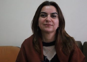 Gülistan Kılıç Koçyiğit: Kayyım ataması tartışmaları geriye çeken adımlardır