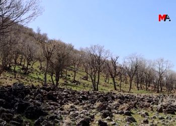 Maden talanına direnenler: Toprağımızı vermeyeceğiz