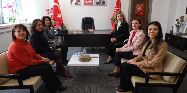 DEM Parti Kadın Meclisi, TİP Kadın Bürosu ile bir araya geldi DEM Parti Kadın Meclisi, TİP Kadın Bürosu ile bir araya geldi