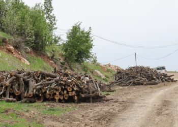57 bin ağaç kesim izni yöre halkının geçim kaynağını bitirecek