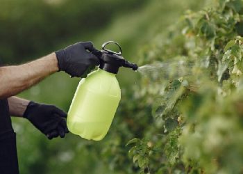 Greenpeace Türkiye’den “Pestisitler ve Çocuklar” Raporu: 155 ürünün yüzde 61’inde çoklu pestisit kalıntısı bulundu