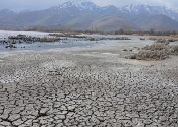 Van Gölü’nde kirlilik artıyor, canlı popülasyonu yok oluyor