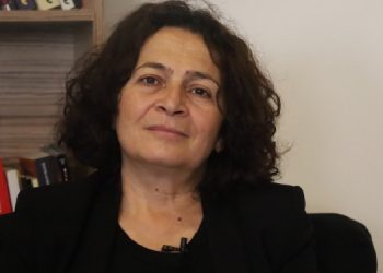 DEM Parti ‘barış komisyonları’ ile ortak mücadeleyi örecek