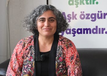Sebahat Tuncel: Siyaset yürütmek suç olmaktan çıkarılsın Sebahat Tuncel: Siyaset yürütmek suç olmaktan çıkarılsın