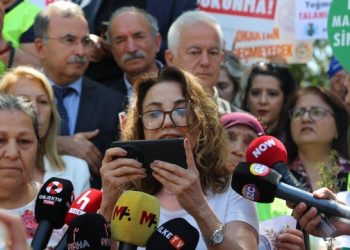 Meslek ve sivil toplum örgütleri: Zeytinlik teklifi toprak gaspı yasasıdır