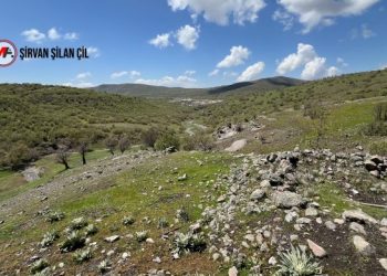 Dêrsim’in ‘hafızası’ hedefte