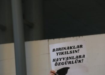 ‘Katliam yasası’ geri çekilinceye kadar mücadeleleri sürecek