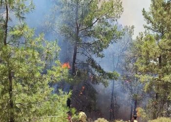 Antalya’da çıkan orman yangını rüzgarın etkisiyle büyüyor