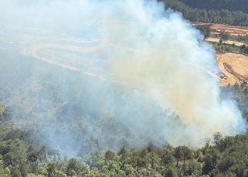 Balıkesir’de orman yangını çıktı: Ekipler yangına müdahalede bulunuyor