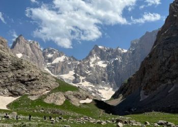 Cilo Buzulları tehlikede!