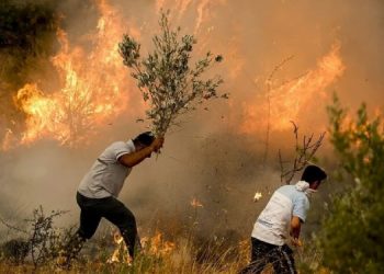 Haziran’da yangınlar arttı: Tedbirsizlik göz yummak anlamına geliyor