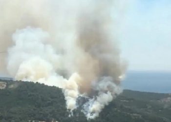 İzmir ve Manisa’da orman yangınları