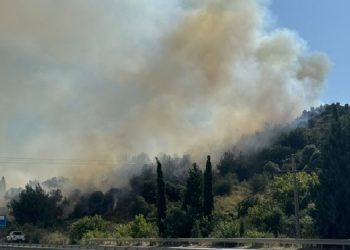 Aydın’da tarım alanlarında yangın