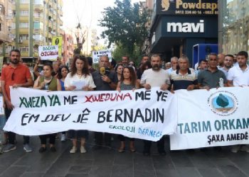 Ekolojistler ayakta: “Kıyım” yasasını geri çekin