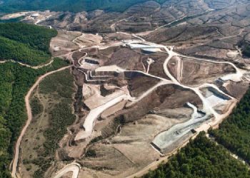 Zeytinlik teklifi: Çevre, orman ve zeytincilik kanunlarının ruhunu yok edecek