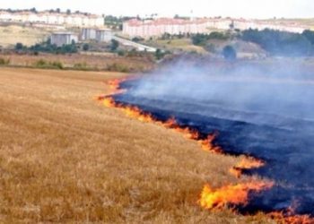 ‘Anız yangınları felakete yol açıyor’