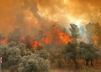 7 ayda 3 bin 181 yangın çıktı