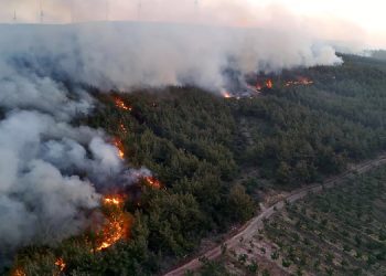 Tekirdağ’daki orman yangını Çanakkale’ye sıçradı: Yangına karadan müdahale ediliyor