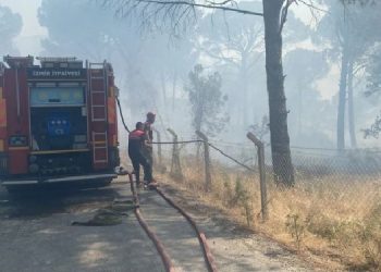 Bergama’da orman yangını: Müdahale sürüyor