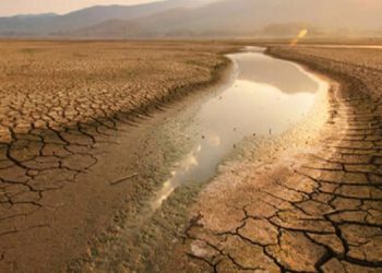 BM raporu: Türkiye’nin yüzde 88’i çölleşme riskiyle karşı karşıya