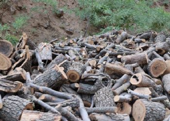 Şirnex Ekoloji Derneği’nden Valiliğe: Yasağa talancılar dahil mi?