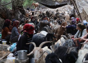 Elkêli berîvanların da tek talebi onurlu bir barış