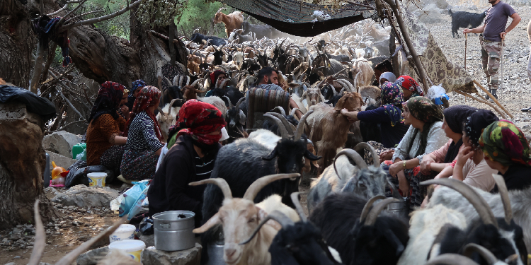Elkêli berîvanların da tek talebi onurlu bir barış Elkêli berîvanların da tek talebi onurlu bir barış