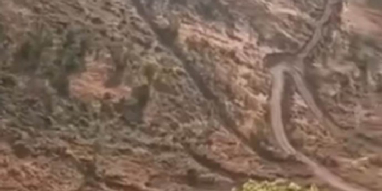 Elkê’de orman kıyımı: Geriye çorak toprak kaldı Elkê’de orman kıyımı: Geriye çorak toprak kaldı