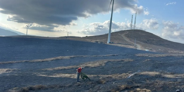 Balıkesir’de yangın: 10 dönüm yandı Balıkesir’de yangın: 10 dönüm yandı