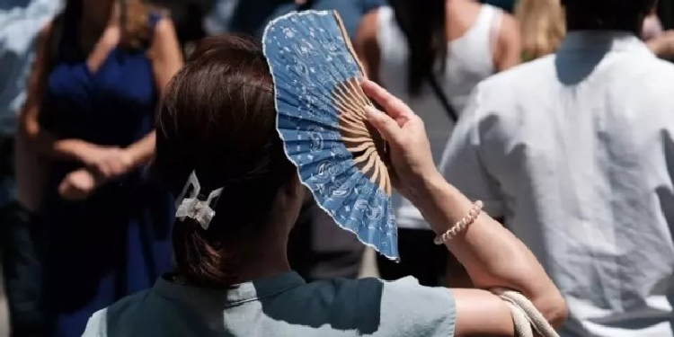 Portekiz’de aşırı sıcaklardan kaynaklı 264 kişi hayatını yitirdi Portekiz’de aşırı sıcaklardan kaynaklı 264 kişi hayatını yitirdi