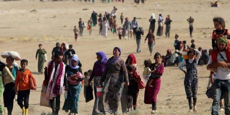 Uluslararası kamuoyuna Êzidî soykırımını tanıma çağrısı Uluslararası kamuoyuna Êzidî soykırımını tanıma çağrısı