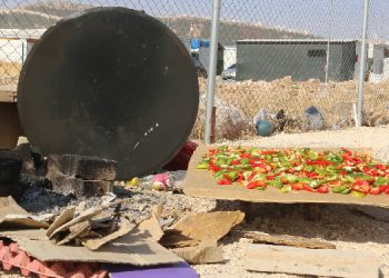 Depremzedelere konteyner yaşamı da çok görüldü!