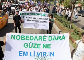 Besta’ya yürüyen ekolojistler: Örgütlü bir mücadeleyle kazanabiliriz